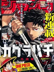漫画雪线以南封面